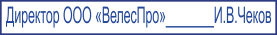 Образец оттиска клише штампа GRM 4916 № 800